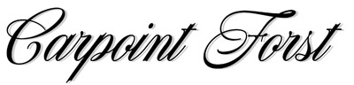 Logo Carpoint Forst bei Bruchsal